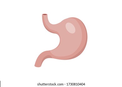 Cartoon Stomach Organ