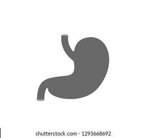 Stomach icon. Vector stomach illustration. 