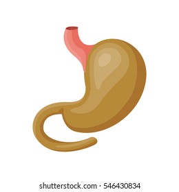 Stomach icon vector illustration.