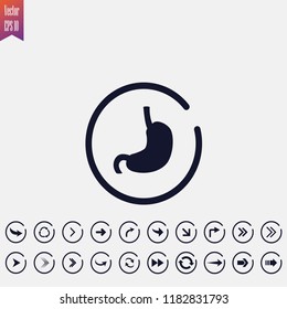 stomach icon vector illustration. arrow icons set