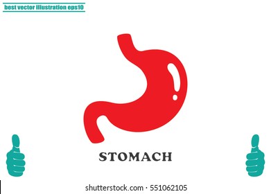Stomach icon vector illustration eps10. Isolated badge for website or app - stock infographics.