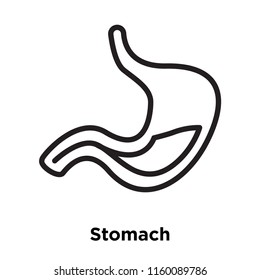 Stomach icon vector isolated on white background, Stomach transparent sign , line and outline elements in linear style