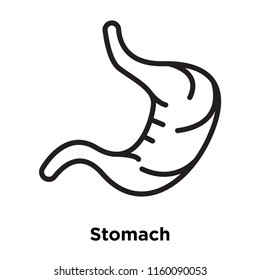 Stomach icon vector isolated on white background, Stomach transparent sign , line and outline elements in linear style