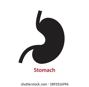 Stomach icon vector logo design template