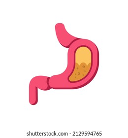 vector de icono de estómago. icono médico