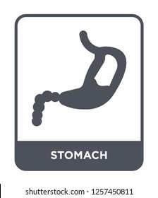 stomach icon vector on white background, stomach trendy filled icons from Medical collection, stomach simple element illustration