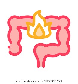 stomach icon vector. stomach sign. color symbol illustration