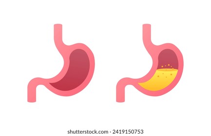 Iconos de Stomach. Estilo plano. Iconos del vector