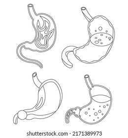 Iconos de Stomach. Conjunto isométrico de iconos vectoriales del estómago contorno aislado en fondo blanco