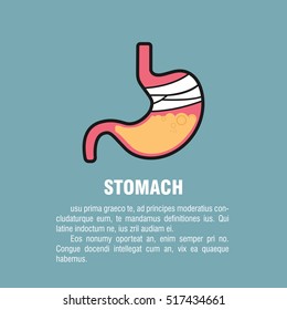 stomach illustration. stomach flat style. stomach with text