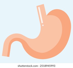 Ilustração estomacal, parte do corpo humano, vetor abdominal e intestinal, adequado para conteúdo educativo e logotipo da clínica e livros de medicina e etiqueta de medicina, bom para mídias sociais e landing pages ícones