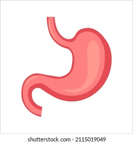 Magengrafik auf isoliertem Hintergrund - Vektorgrafik