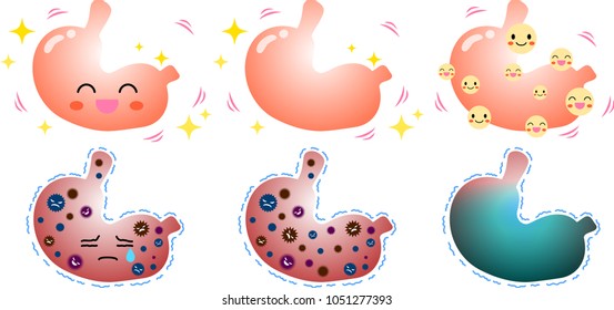 Stomach illustration set