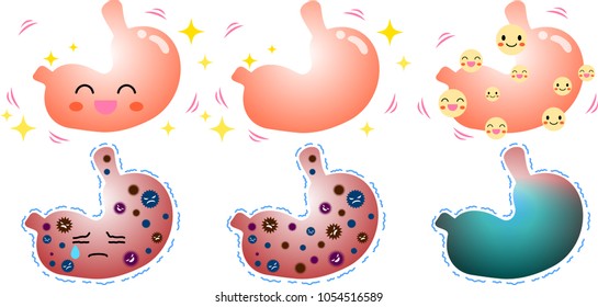 Stomach illustration set