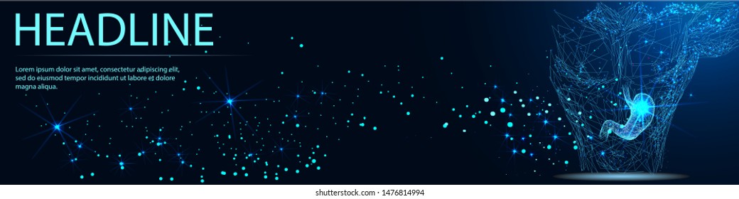 Stomach. Internal digestion organ. Low poly wireframe style. Technology in medicine. Abstract illustration isolated on blue background. Vector medicine illustration. Headline