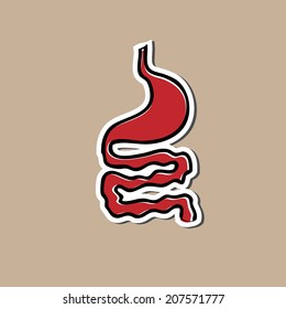 Stomach And Intestine Cartoon Drawing 