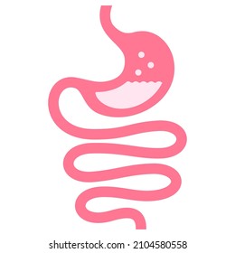 Stomach And Intestine Vector Icon, Human Digestive System Or Tract Illustration On White Background