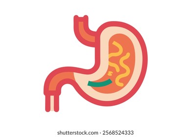 Stomach and Intestine Vector Icon - Human Digestive System Illustration

