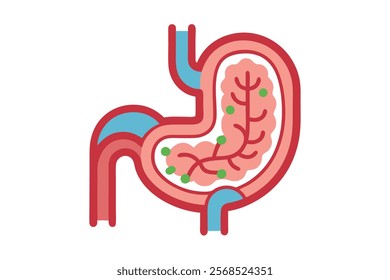 Stomach and Intestine Vector Icon - Human Digestive System Illustration

