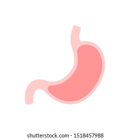Stomach isolated on white backgroung.Human internal organ. Vector illustration.