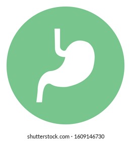 
Stomach Isolated Vector icon which can be easily modified or edit
