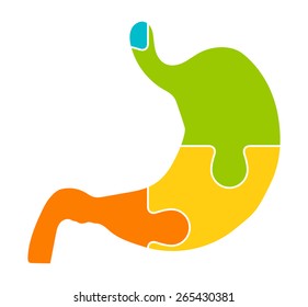 Stomach Jigsaw Puzzle Pieces Abstract