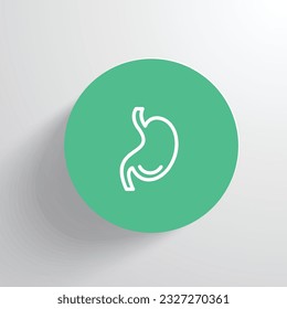 stomach is a J-shaped organ that digests food