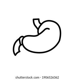 stomach line icon design vector template