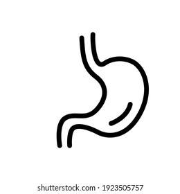 Stomach Line Icon. High Quality Black Outline Logo. Vector Illustration On A White Background.