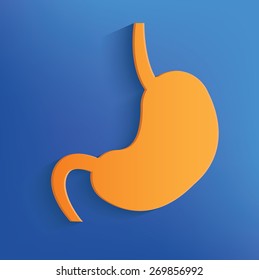 Stomach on blue background,clean vector