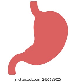 Stomach on a white background, vector illustration.
