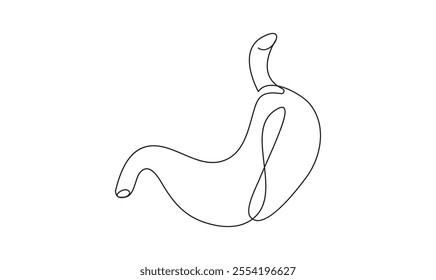 Stomach one continuous line