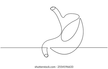 Stomach one continuous line drawing anatomy concept on white background minimalism 