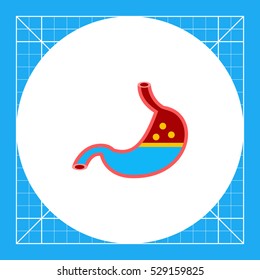 Stomach Organ Vector Icon