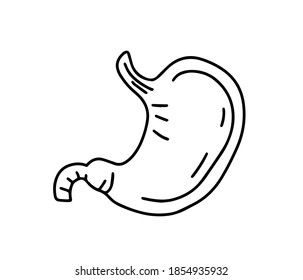 Stomach outline. Human. Flat icon, symbol. Healthy organ. Simple style stand-alone. Stock Doodle vector illustration.