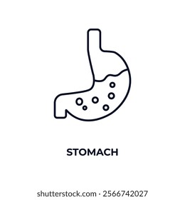 stomach outline icon. Linear vector from medical concept. Thin line stomach icon isolated on white background