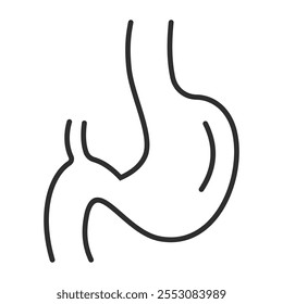 Stomach outline icon, showing anatomy outline icon, minimalist vector illustration and transparent graphic element. Isolated on white background