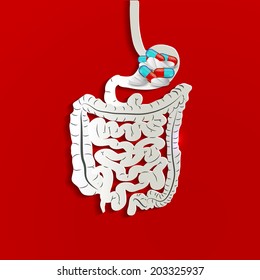 Stomach and pills inside, bright red background