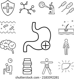 stomach probiotic concept line icon in a collection with other items