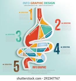 Stomach puzzle info graphic design,clean vector