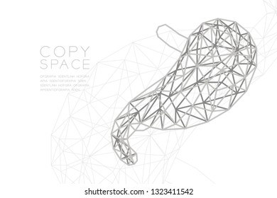 Stomach shape wireframe polygon silver frame structure, Medical Science Organ concept design illustration isolated on black gradient background with copy space, vector eps 10