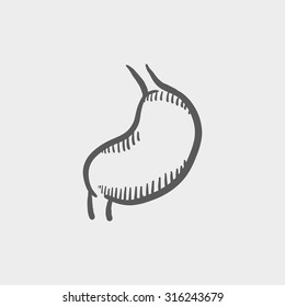 Stomach sketch icon for web, mobile and infographics. Hand drawn vector dark grey icon isolated on light grey background.