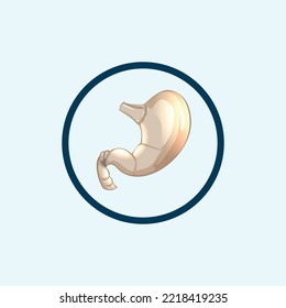 Stomach thin icon in trendy flat style isolated on white background. Symbol for your web site design, logo, app, UI. Vector illustration, EPS