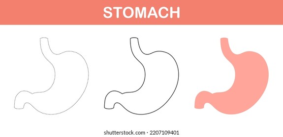 Stomach tracing and coloring worksheet for kids