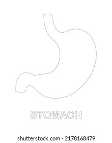 Stomach tracing worksheet for kids