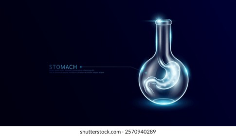 Stomach transparent in beaker glass sphere test tube on dark blue background. Internal organ anatomy sample medical science experiment. Research genetic scientific concept. Vector EPS10.