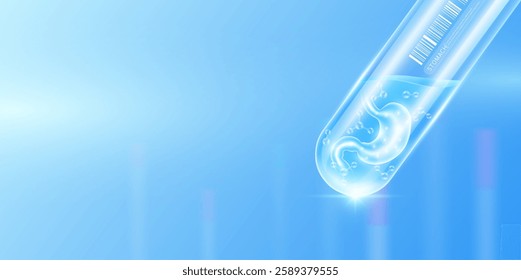 Stomach transparent and molecule in glass test tube with empty space for text. Human internal organ anatomy sample science research experiment. Medical scientific concept. Banner vector.