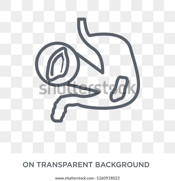 Stomach Ulcers Icon Trendy Flat Vector 스톡 벡터(로열티 프리) 1260918022 ...