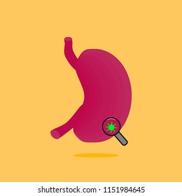 Stomach under medical review looking for enzymes or viruses. Medical health
