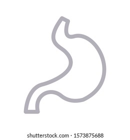 stomach vector color line icon 